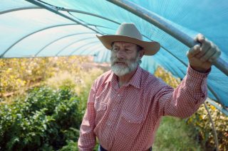 California groundwater fight pits small farmers against carrot giants