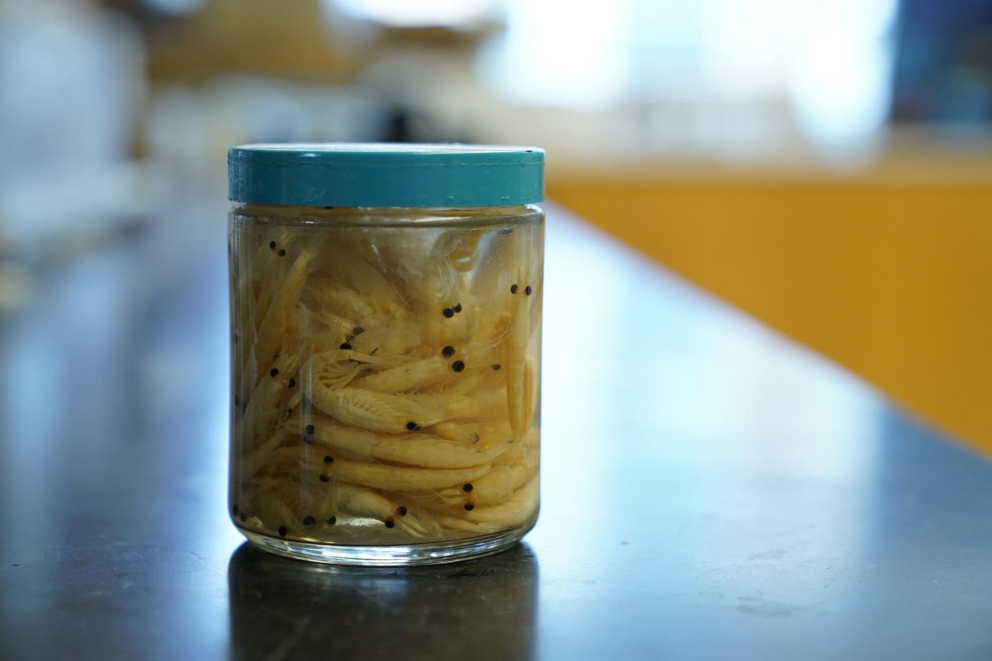 A jar of krill