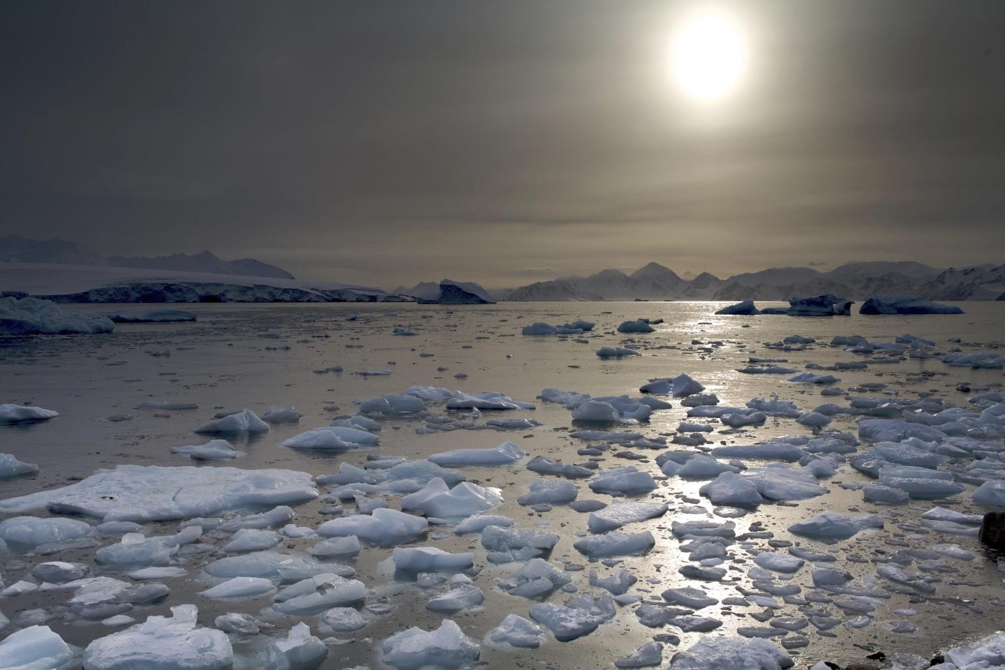 Antarctica