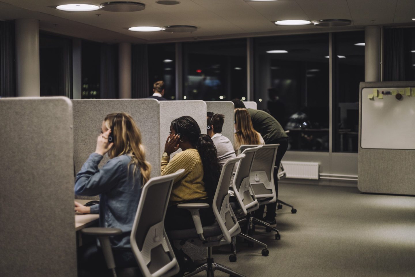 Workers sat in their cubicles