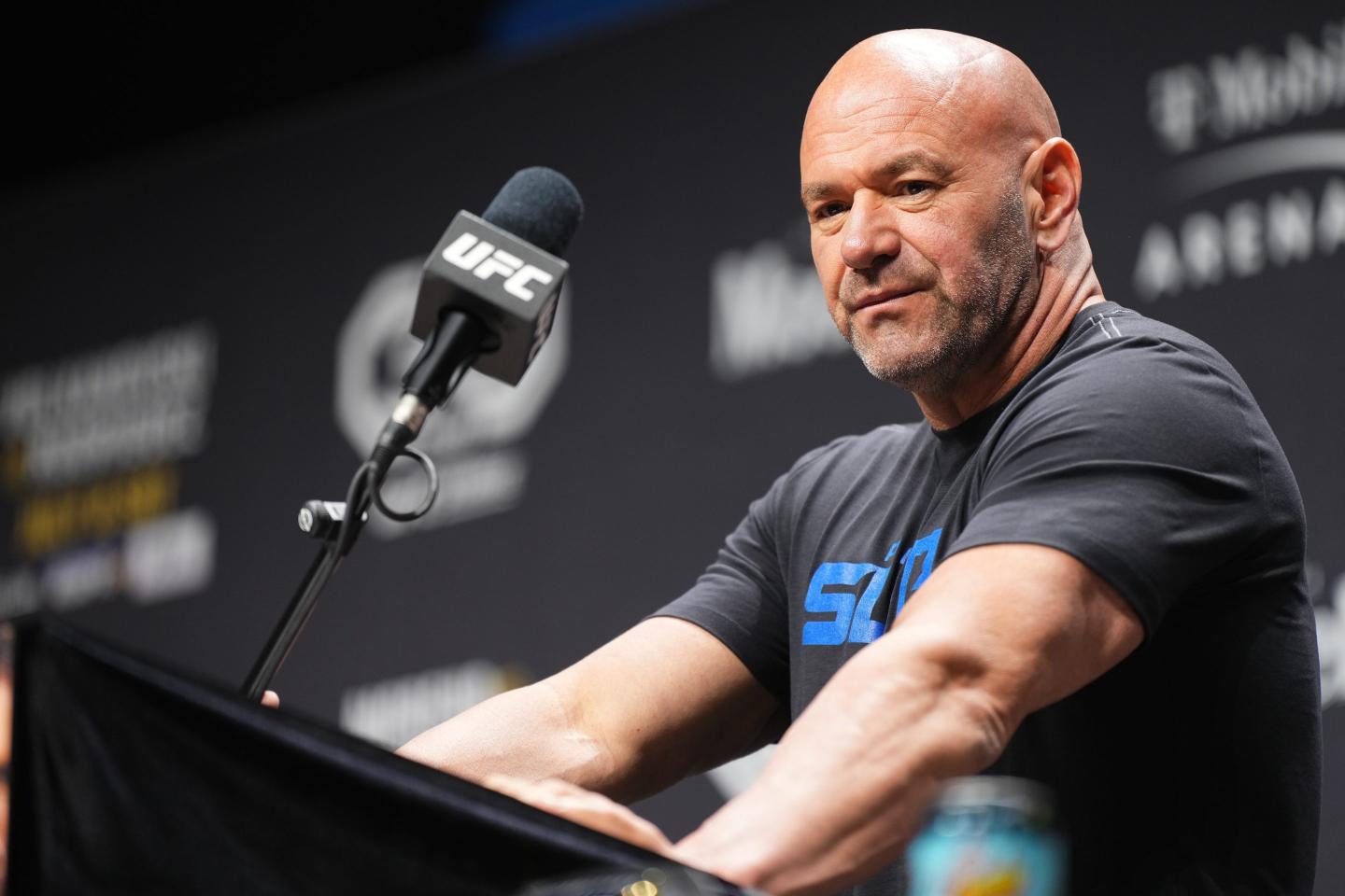 UFC chief executive Dana White