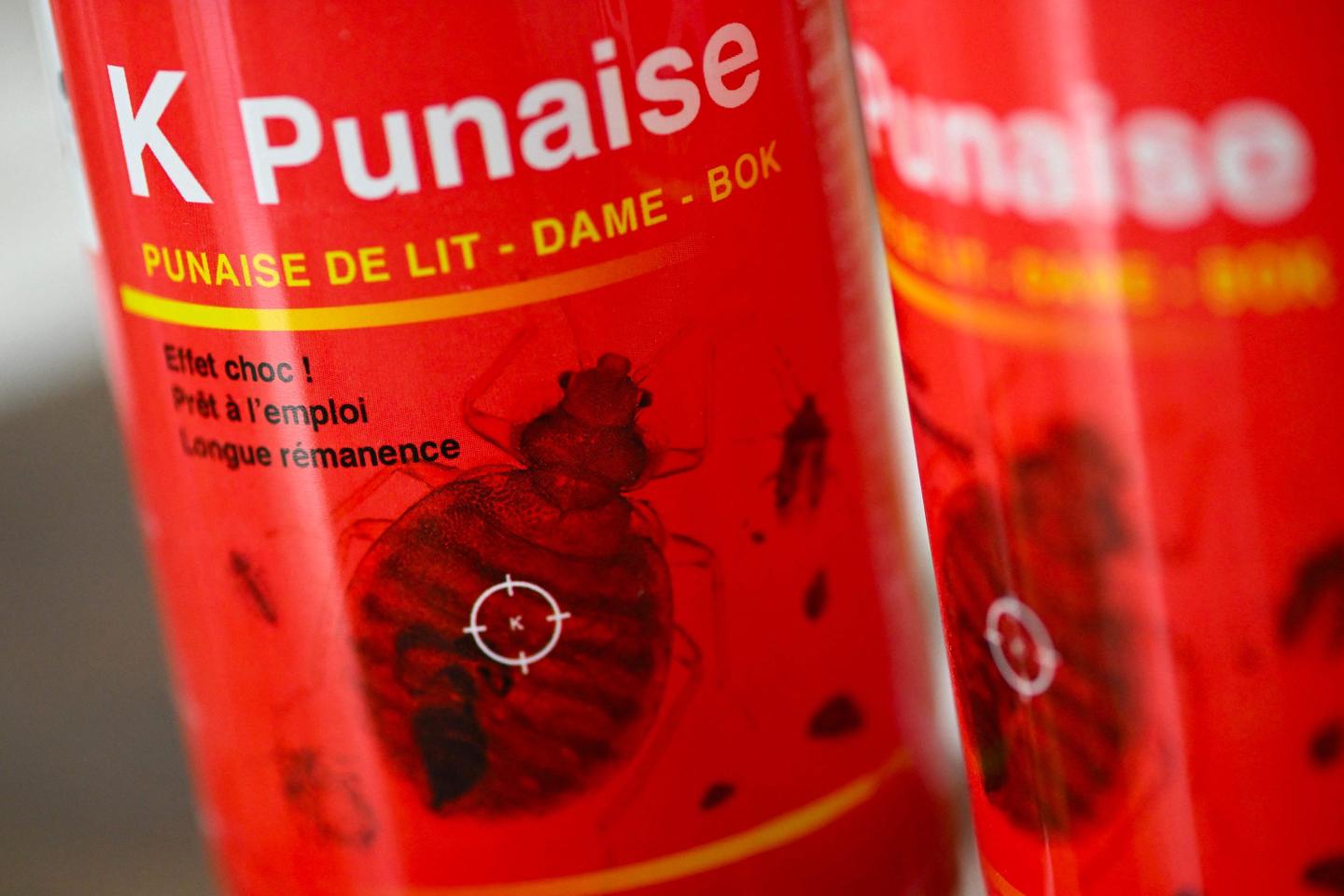 France declares war on bedbugs—and so far the bedbugs are winning