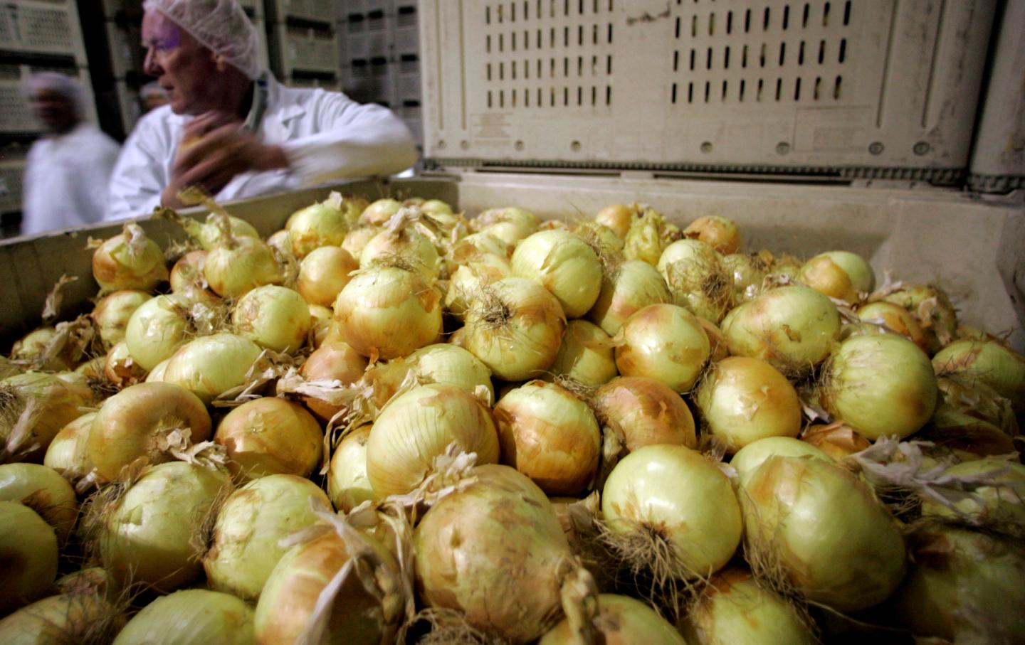 Salmonella outbreak that’s sickened 73 people in 22 states is linked to precut onions