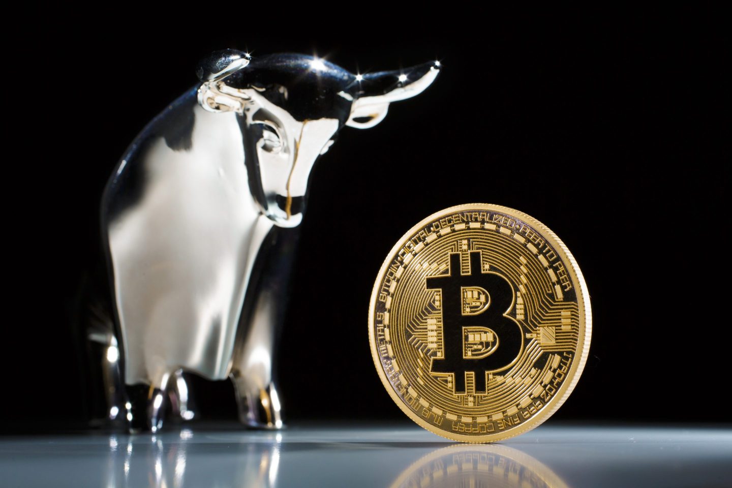 model Bitcoin stands next to a bull