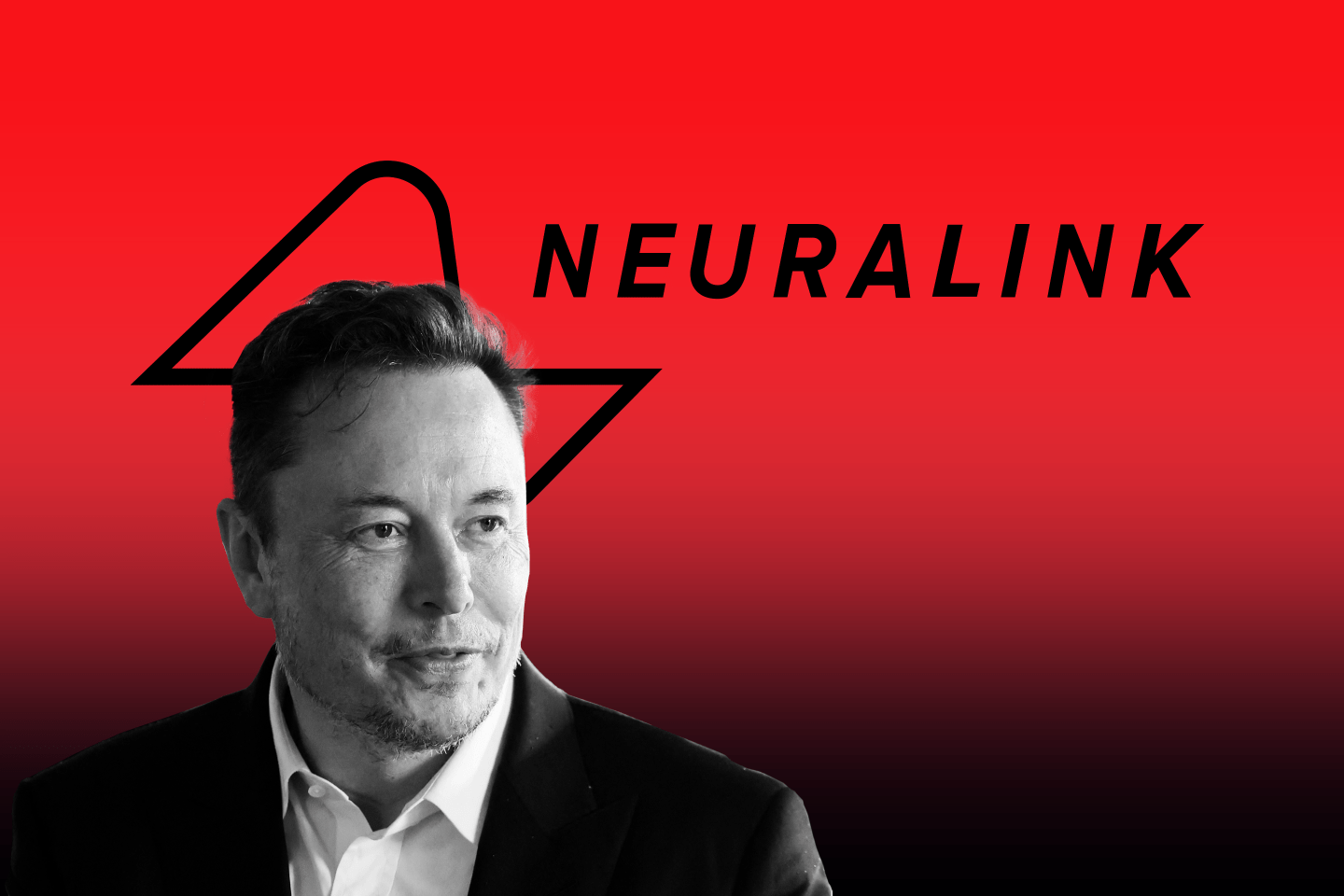 Neuralink’s org chart: The top scientists and managers running Elon Musk’s brain tech startup