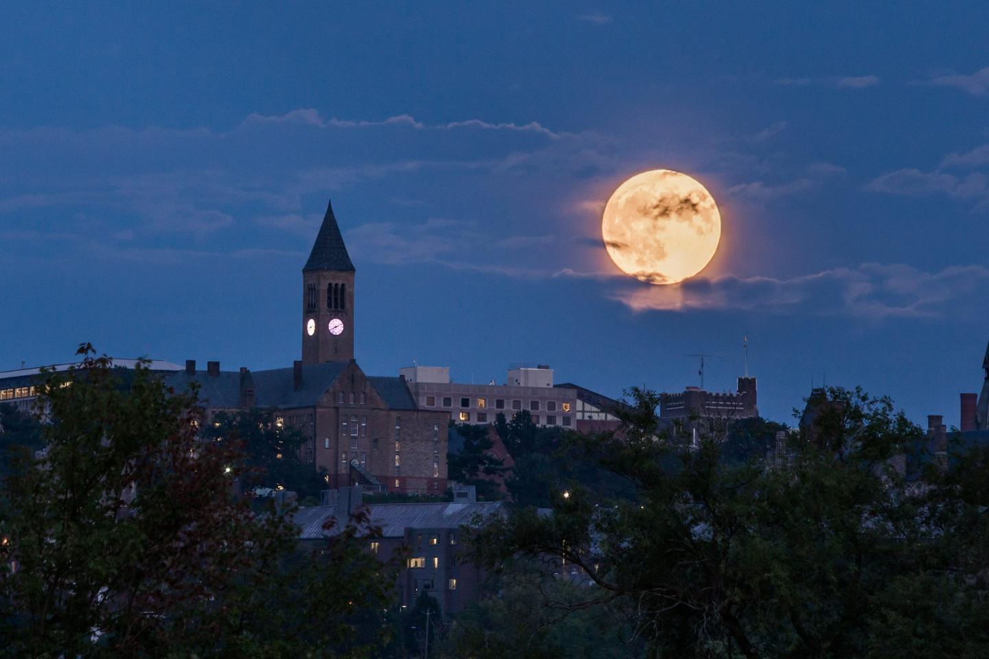 Cornell University