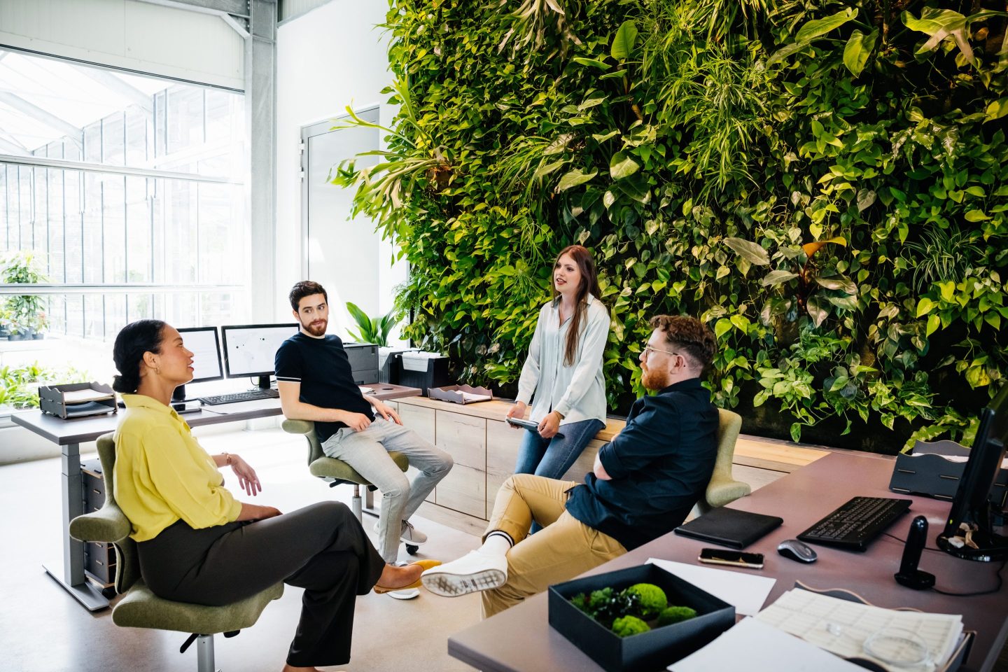 A group of colleagues sitting in front of a large, green plant display and having a meeting together in a modern office environment.