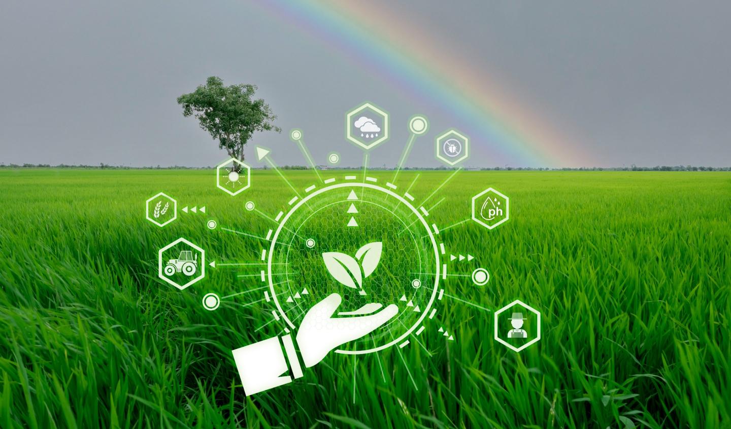 This AI company wants to solve food-related climate challenges