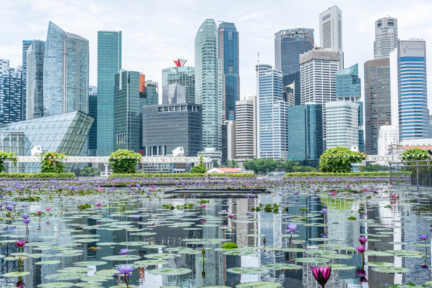 A new global study shows the real reason the West is still one step ahead of Asia when it comes to the digital economy–and it’s not technological prowess