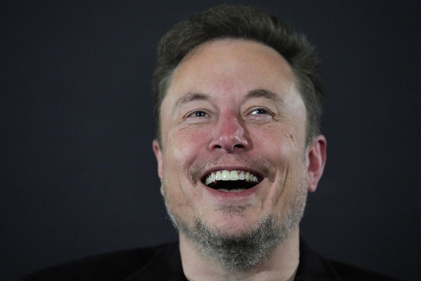 Tesla CEO Elon Musk