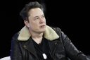 Elon Musk says Neuralink is ‘paradise’ that has never caused the death of a monkey—all those that died already had terminal conditions