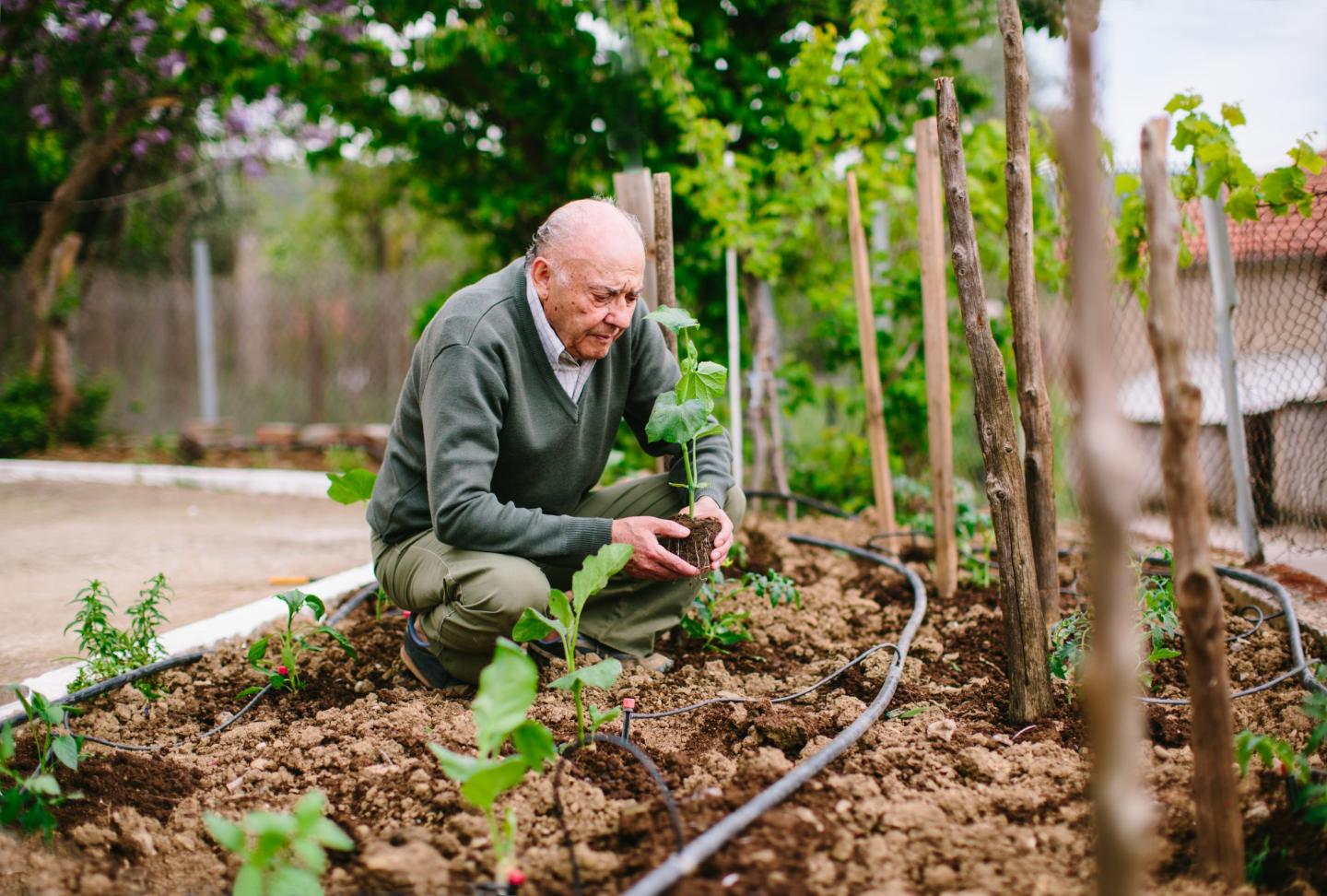 1 in 5 older adults don’t have someone they can depend on in time of need. It’s driving up ER visits and food insecurity