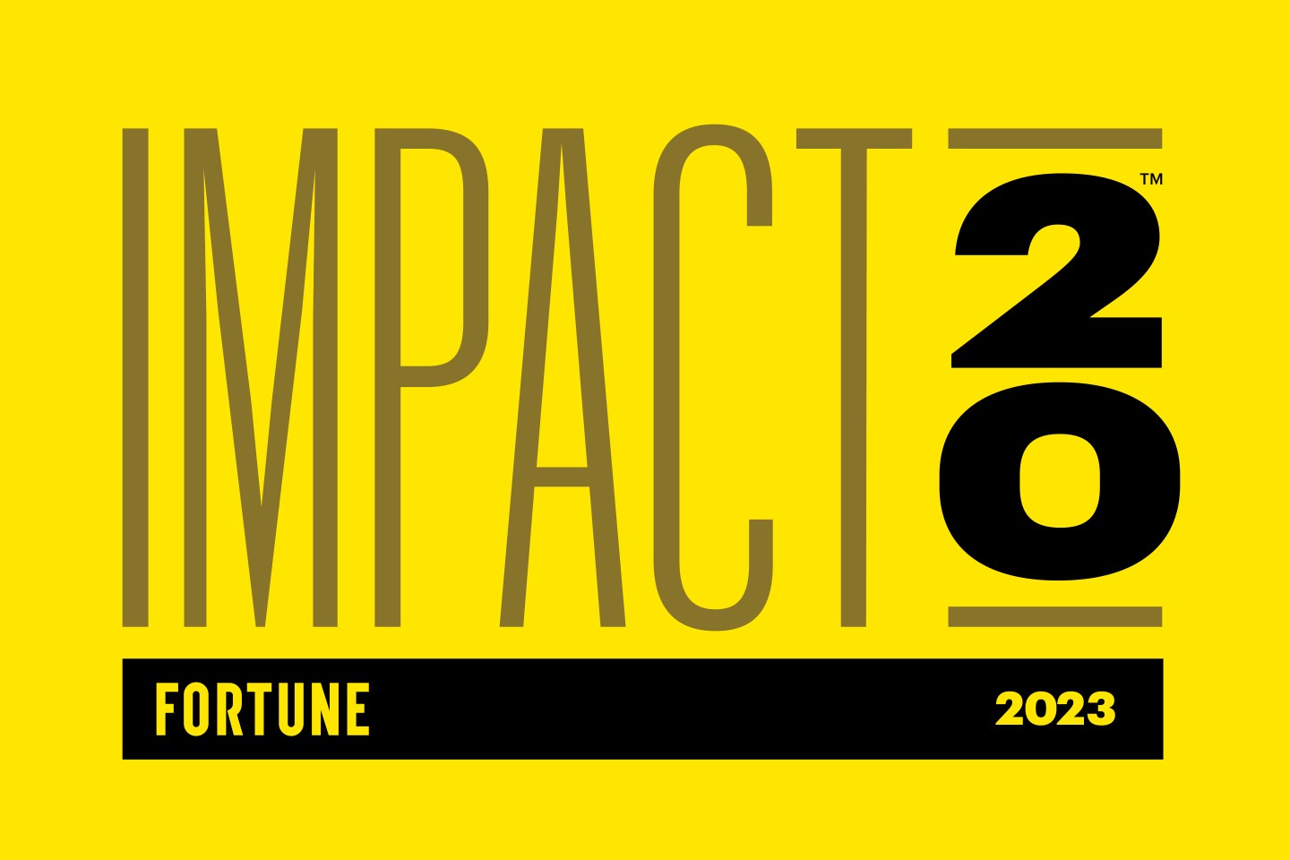Impact 20 Logo — 2023