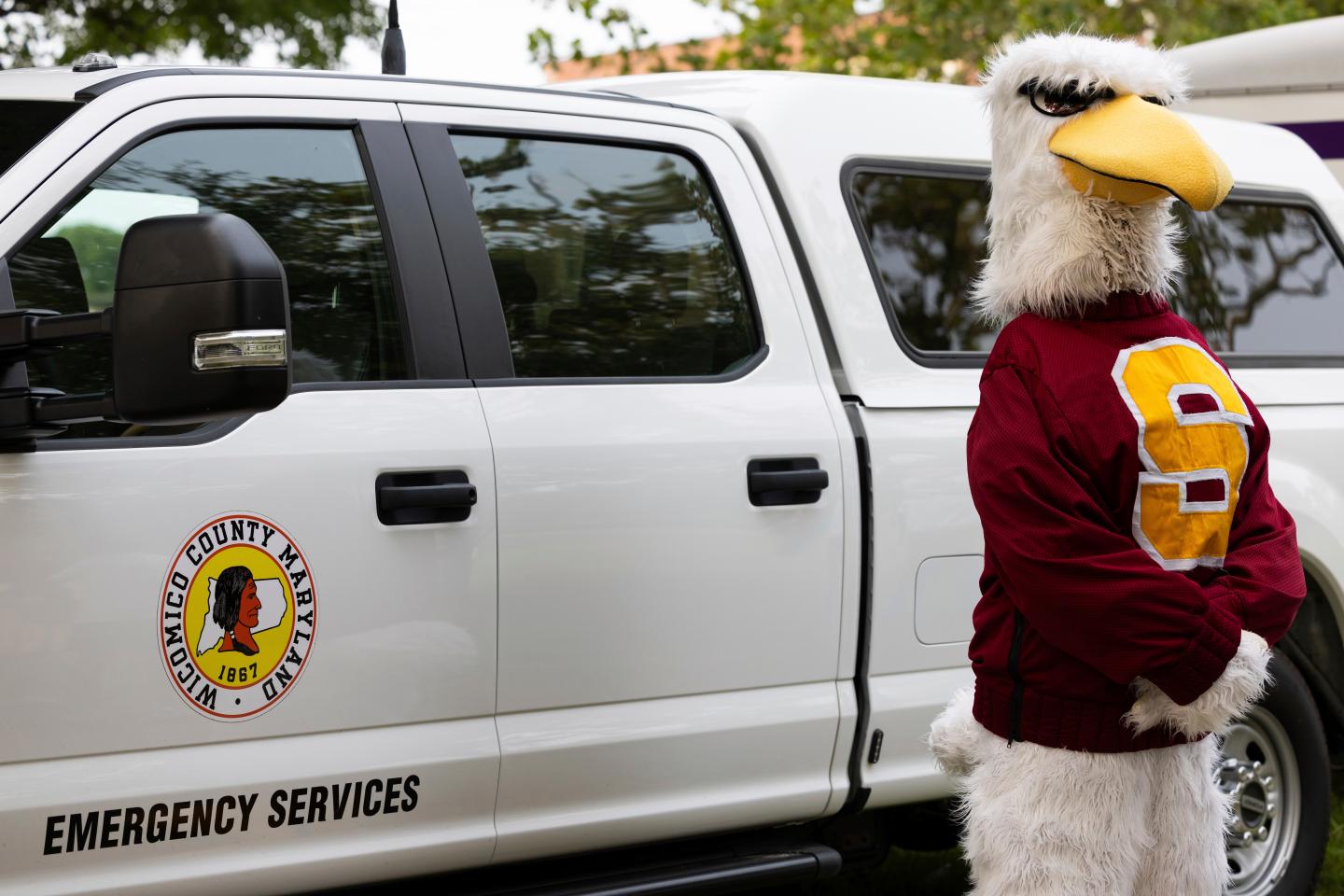 Sammy Sea Gull