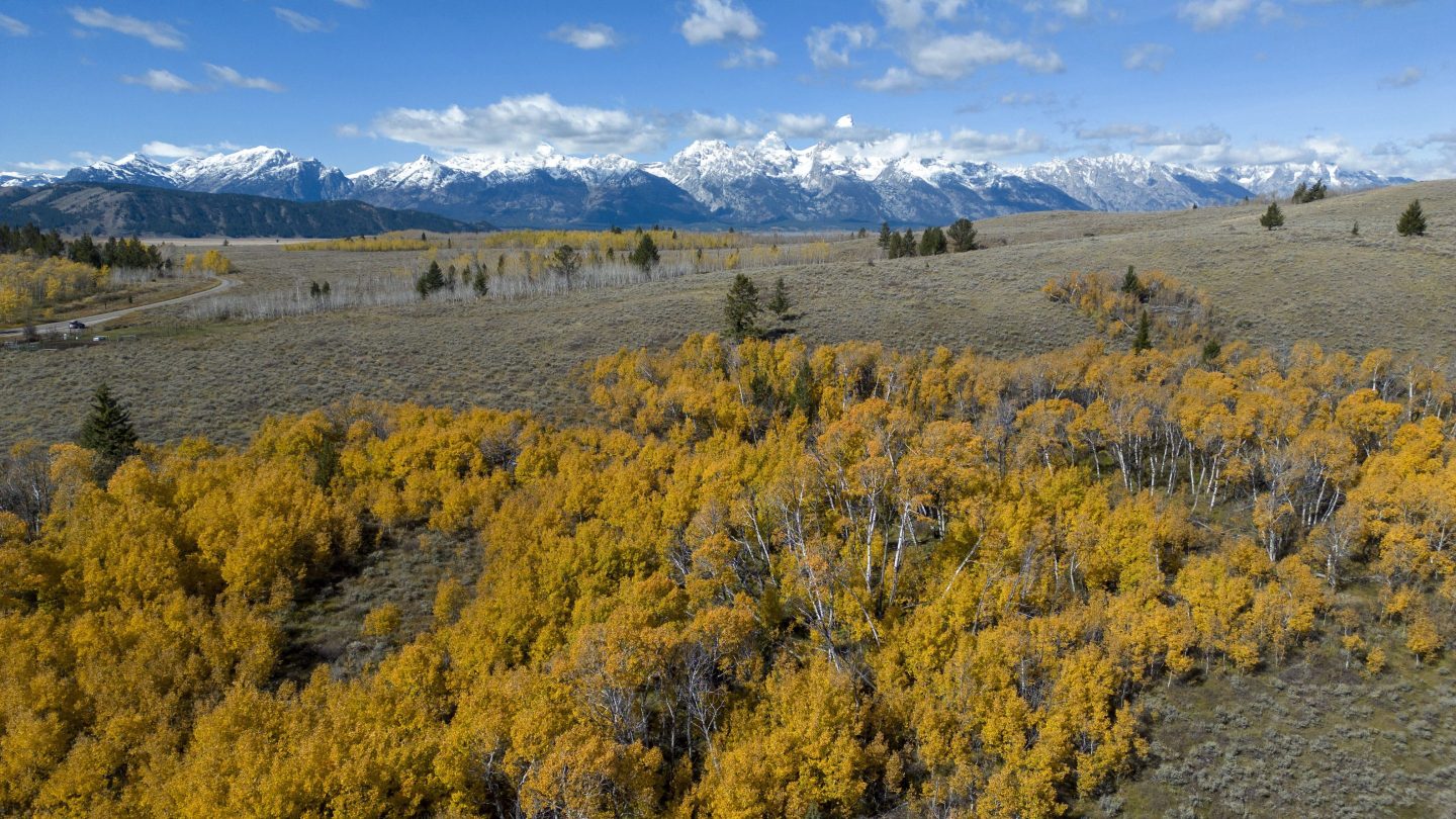 Grand Tetons