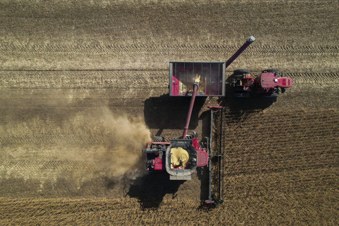 Harvesting soybeans at a farm in Allerton, Ill.