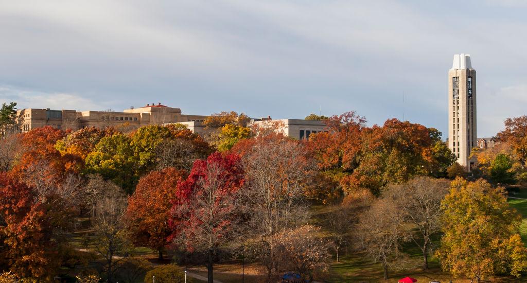 The number of social work master’s programs is growing to meet demand—here are 4 new options
