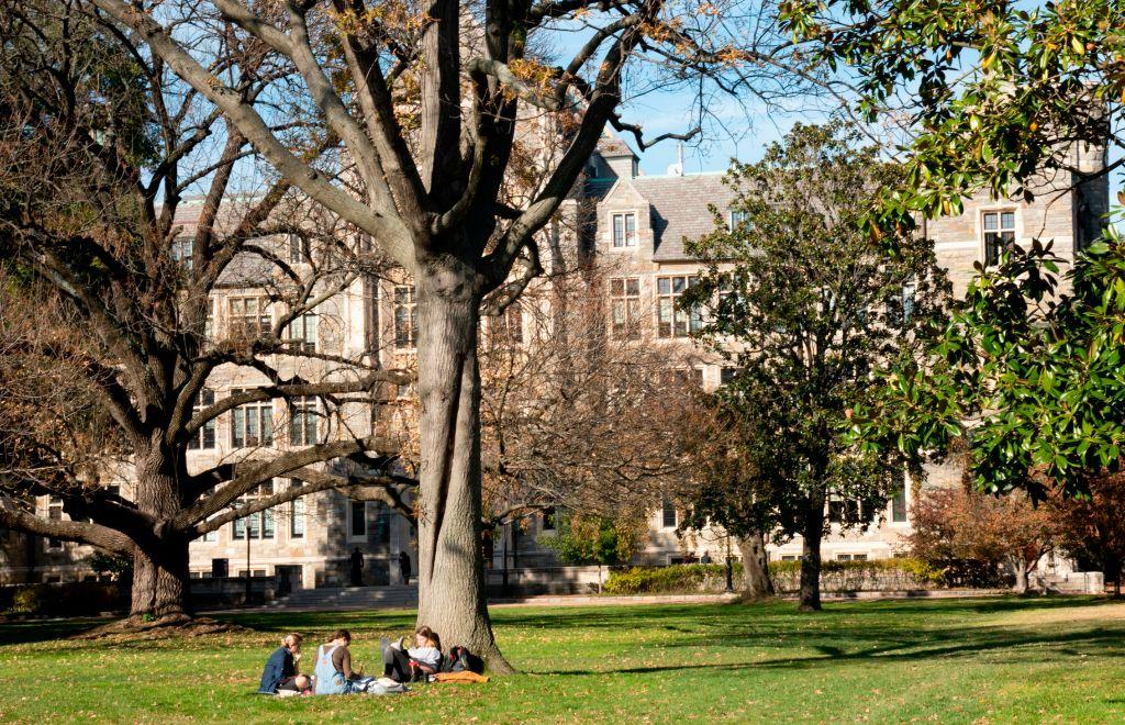 What top online psychology master’s programs are looking for in applicants