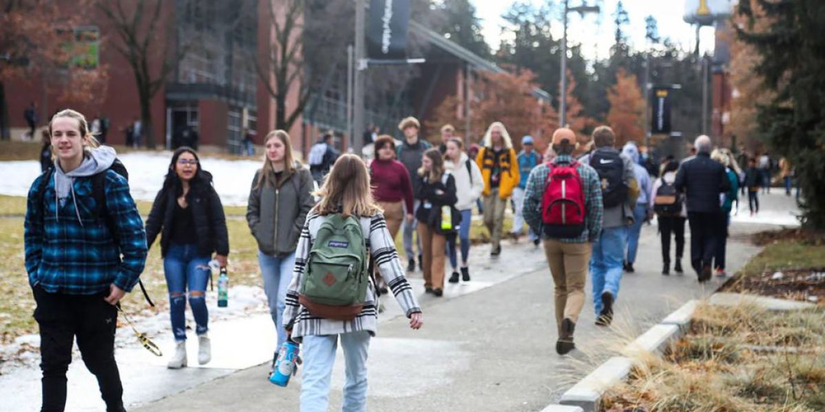 Is a master's degree in social work worth it? Fortune Education