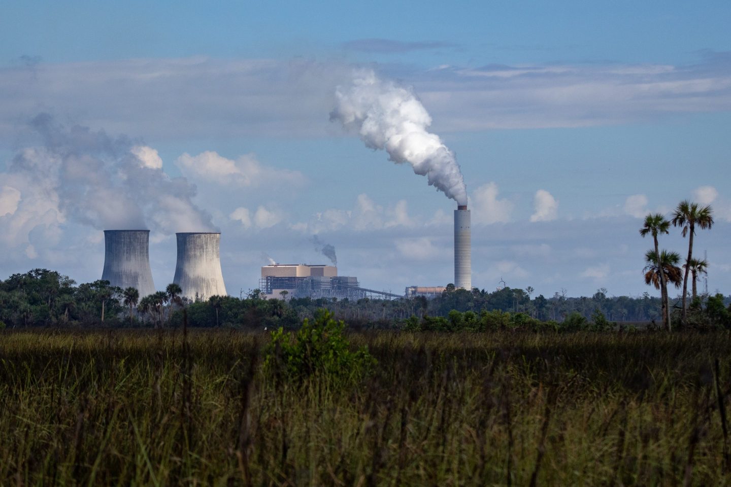 A conventional water-cooled nuclear plant in Florida.