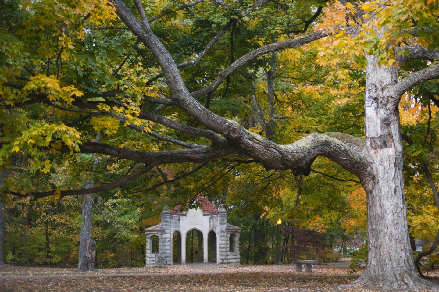 What to know when applying to Indiana’s Kelley online MBA program