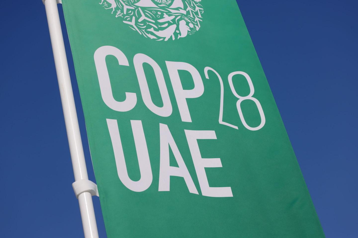 The ongoing  UN climate conference COP28 has encouraged public-private cooperation.
