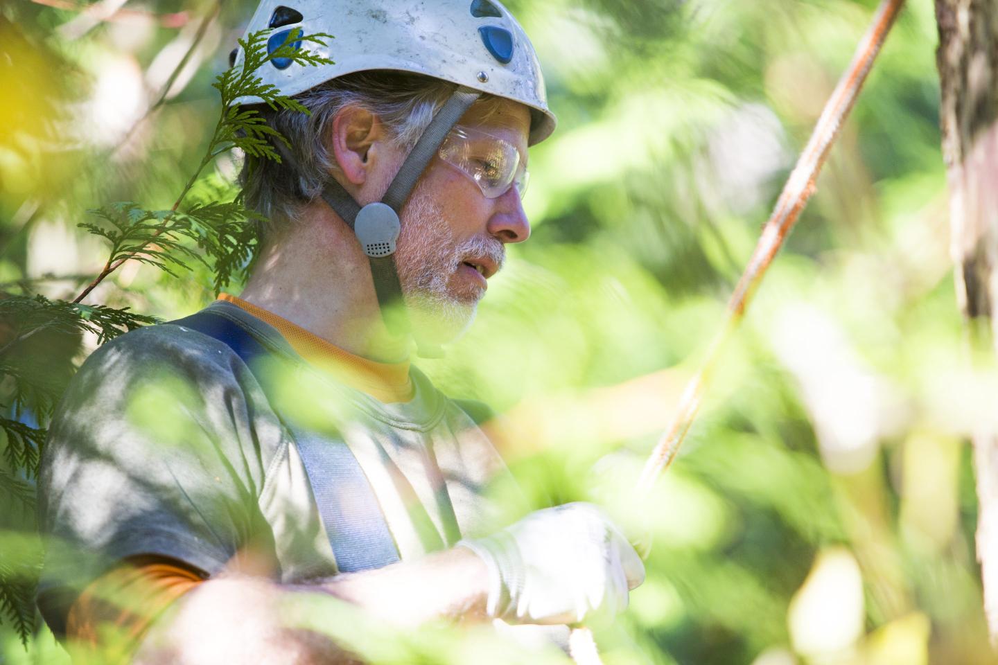 Climate change is forcing Pacific Northwest trees to move—but scientists can’t agree on what form of ‘assisted migration’ is best
