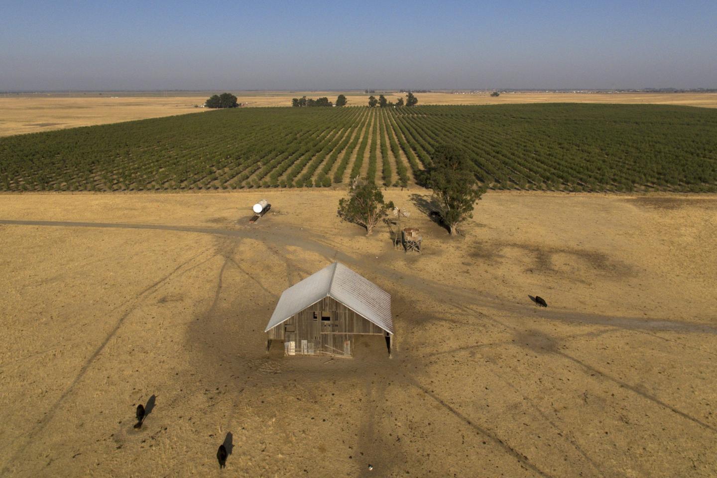 ‘California used to be this place of optimism’: Ex-Goldman trader says $800m Silicon Valley billionaires city is chance to fight Texas and Florida