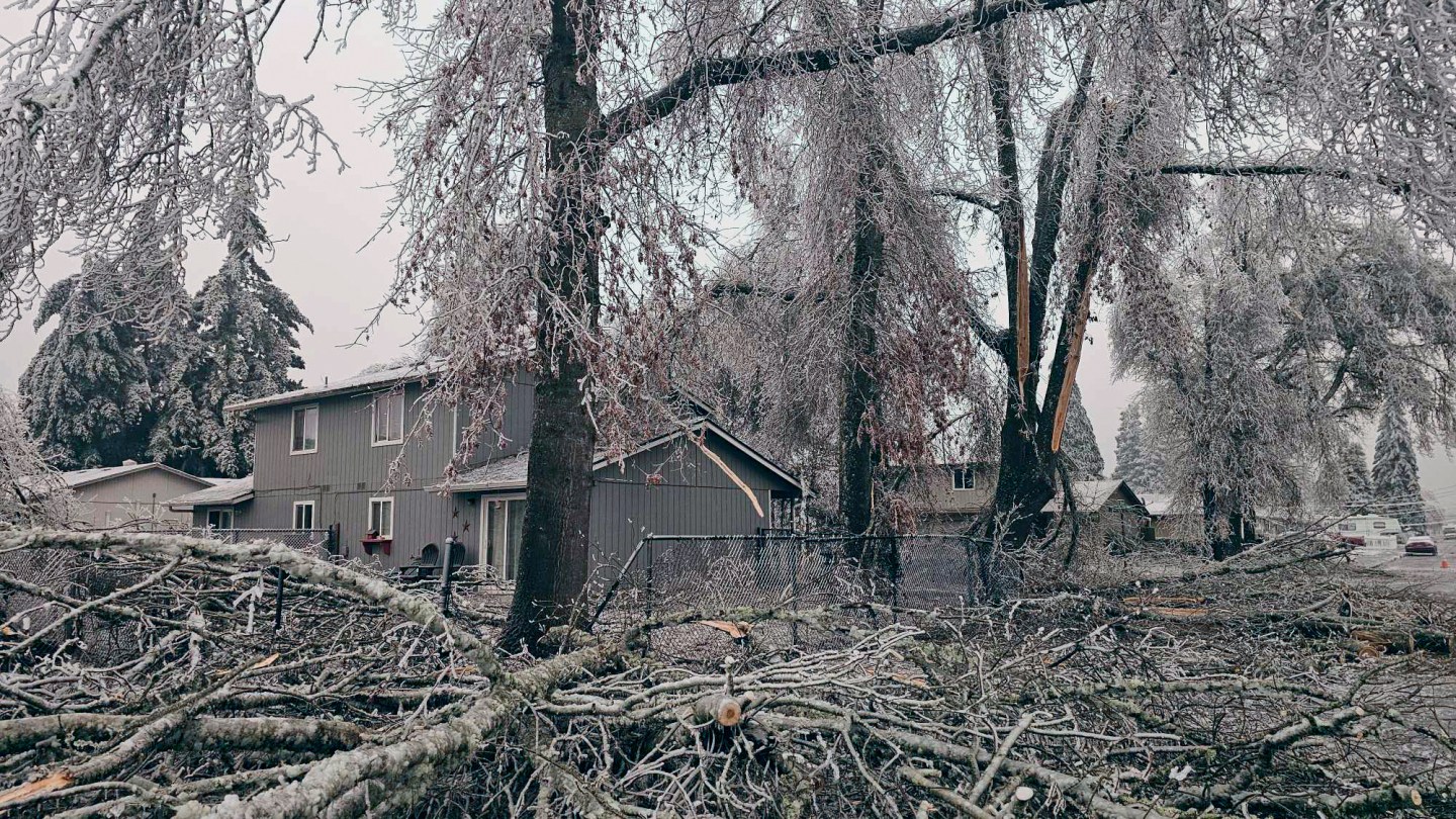 Fallen branches and ice covered trees are seen on Tuesday, Jan. 16, 2024, in Creswell, Ore.