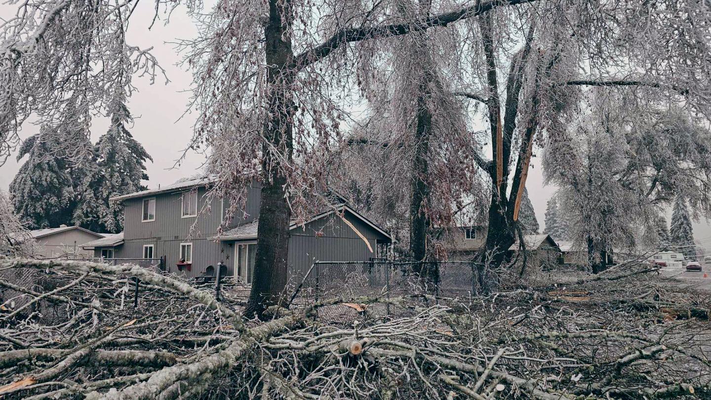 Deadly January storms have turned U.S. roads into icy death traps, kill at least 45 from Oregon to Tennessee and sent a plane skidding off a runway
