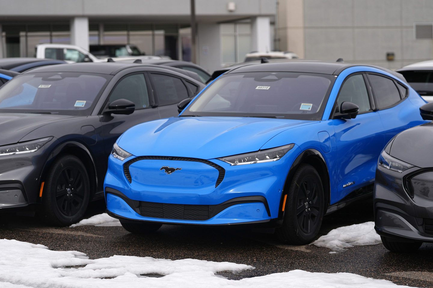 2024 Mustang Mach-E electric vehicles are displayed at a Ford dealership Sunday, Jan. 21, 2024, in Broomfield, Colo.