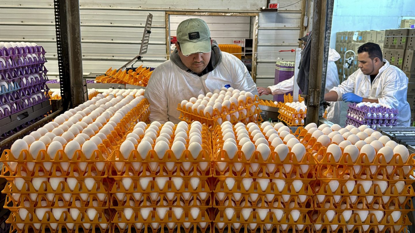 A worker at the Sunrise Farms processing plant in Petaluma, Calif., which has seen an outbreak of avian flu.