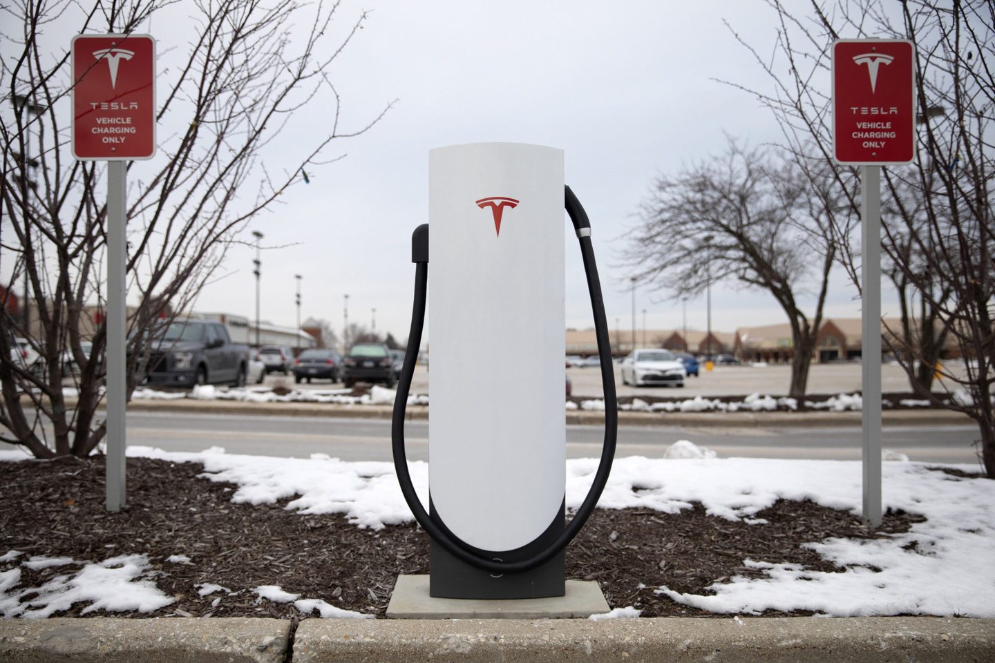 Teslas have been struggling to brave the Chicagoan winter. It spells out problems for EV's future.