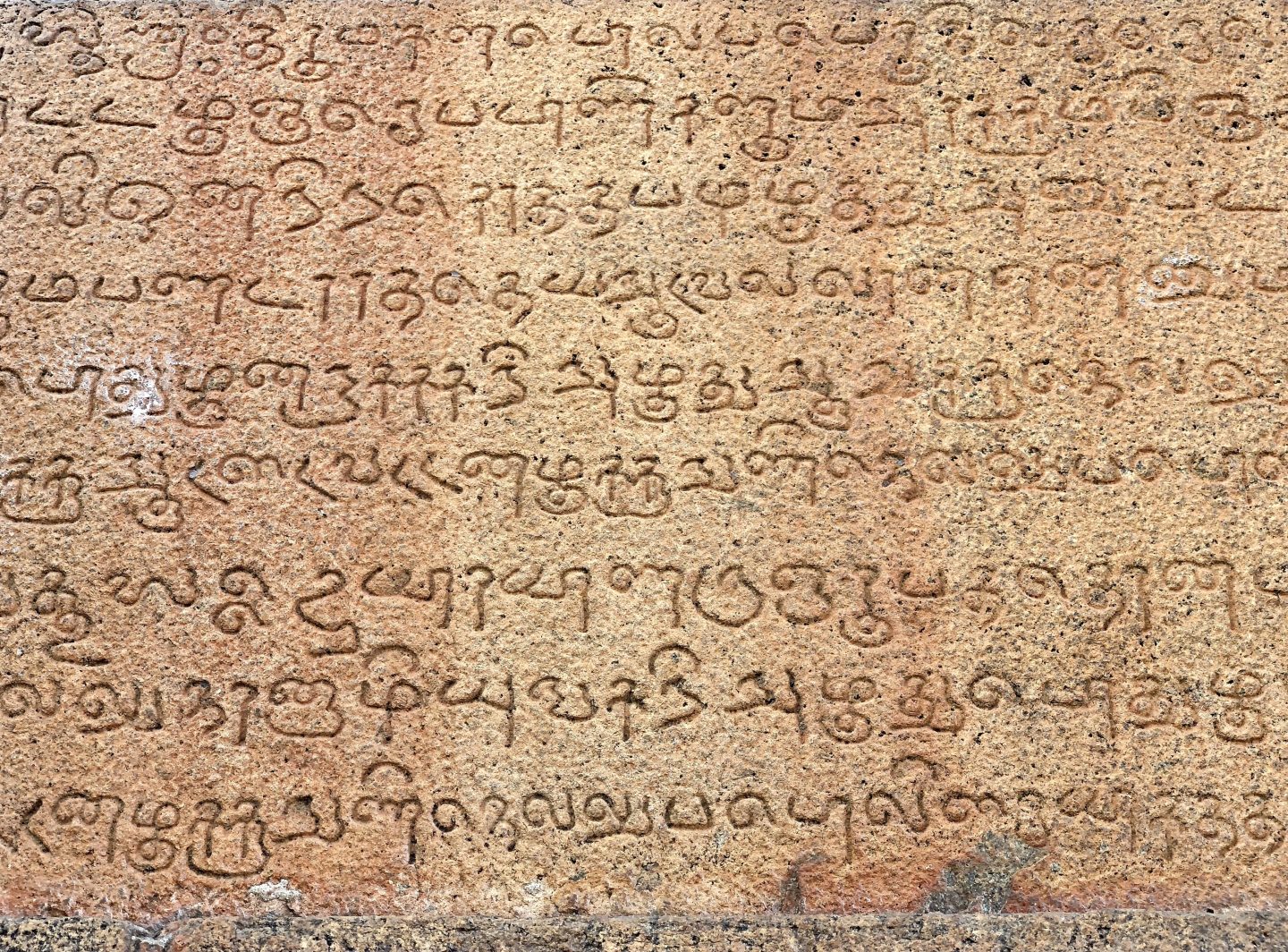 Less than 5% of languages are expected to ascend to the digital realm.