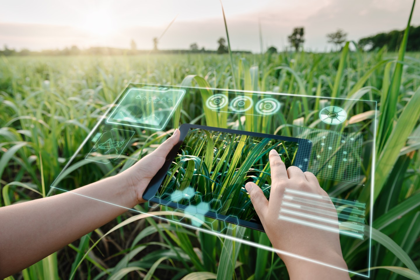Agtech is considered one of the more benevolent applications of AI, given that it helps feed people and can shrink agriculture’s vast environmental footprint.