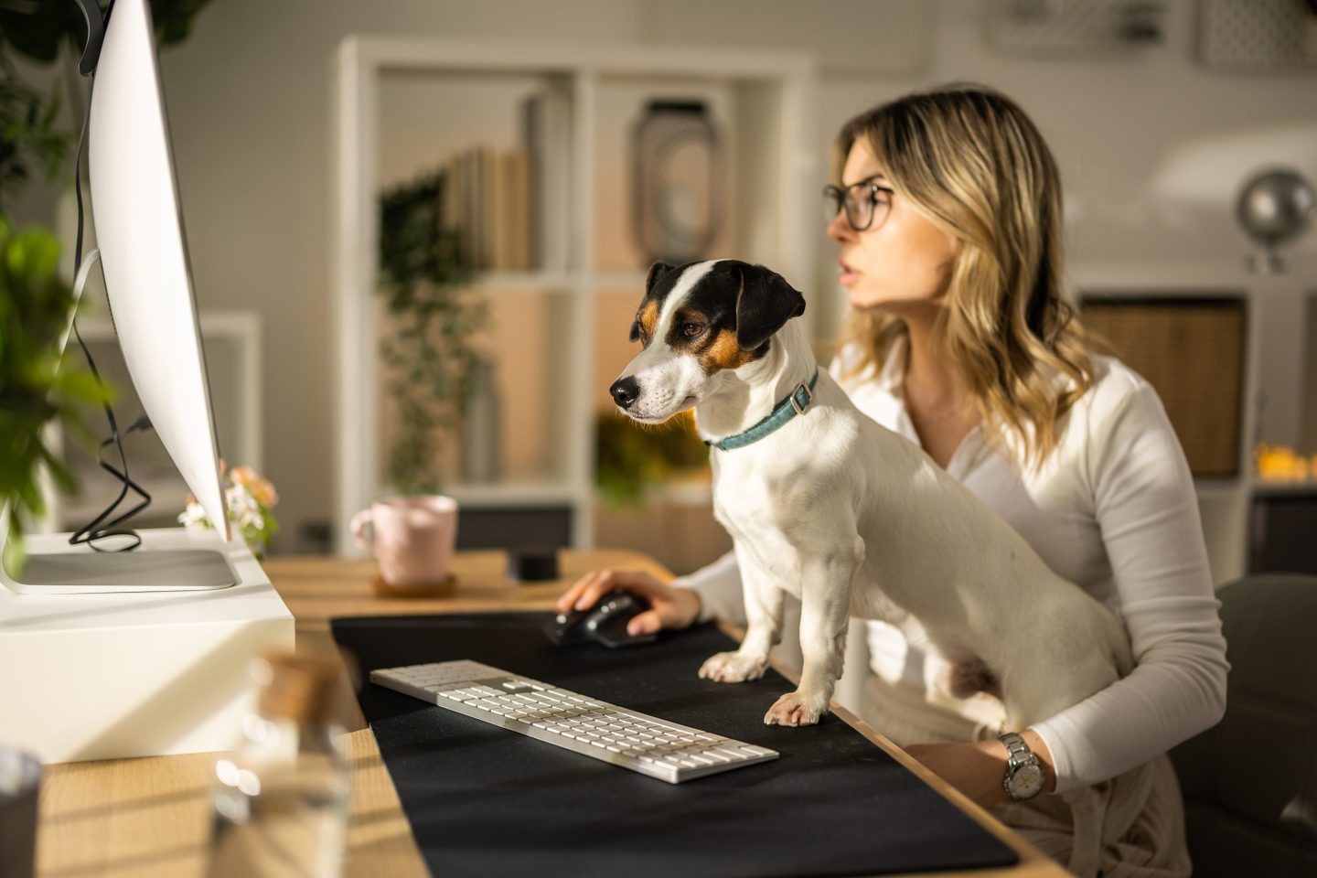 Woman working at home with her dog in her lap