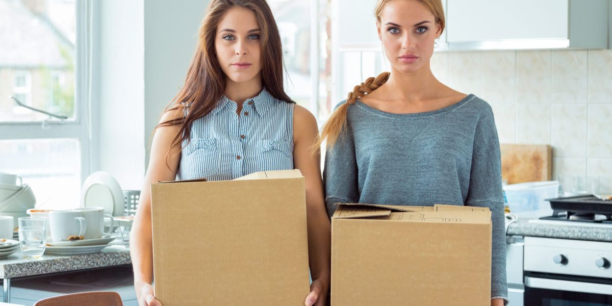 Housing affordability has gotten so bad that 15% of buyers are purchasing a home with a non-romantic co-buyer. 'It's like carpooling for homes' | Fortune