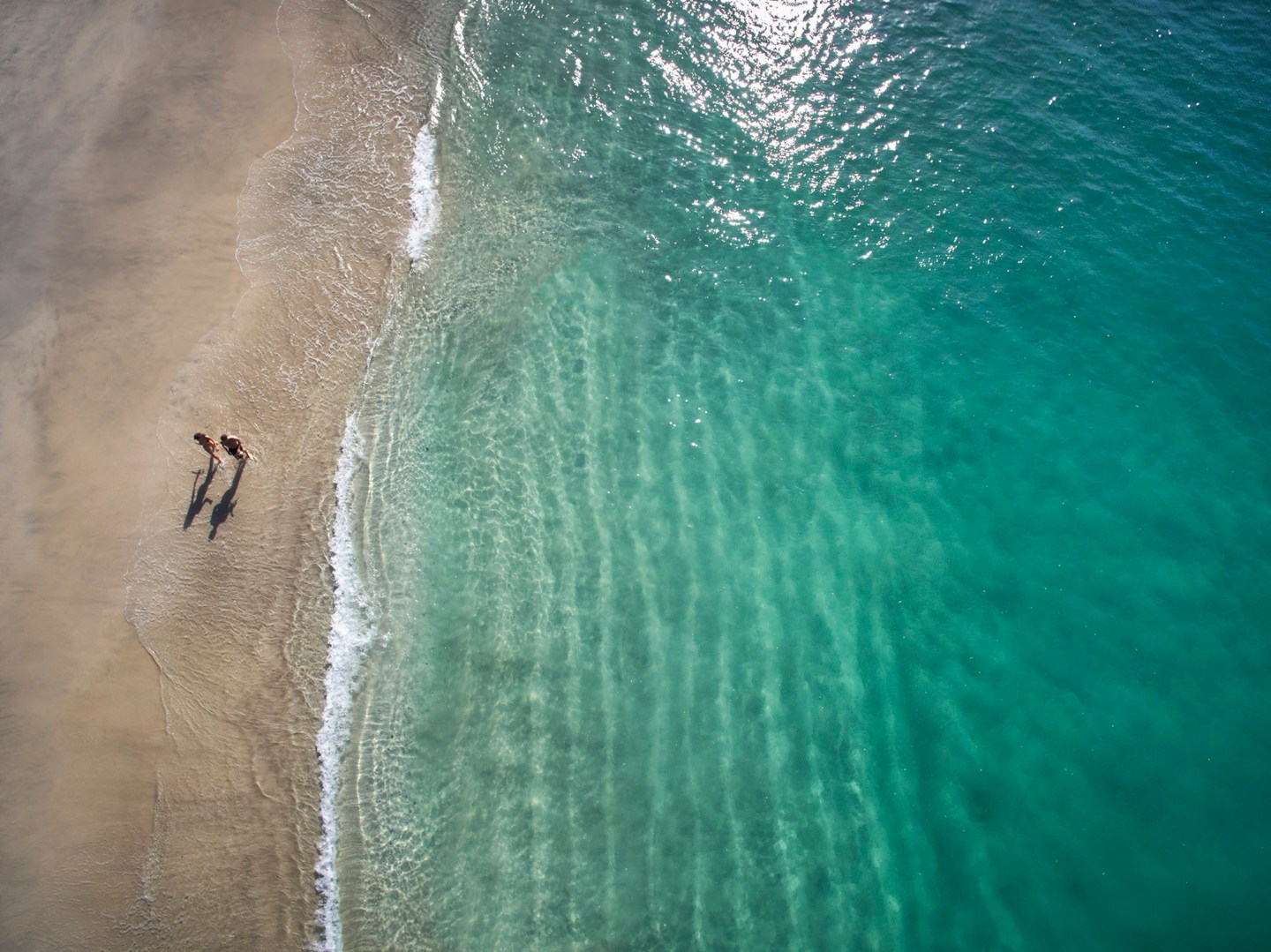 The coastal waters of Peninsula Papagayo brim with biodiversity, making it a world-class destination for underwater expeditions.