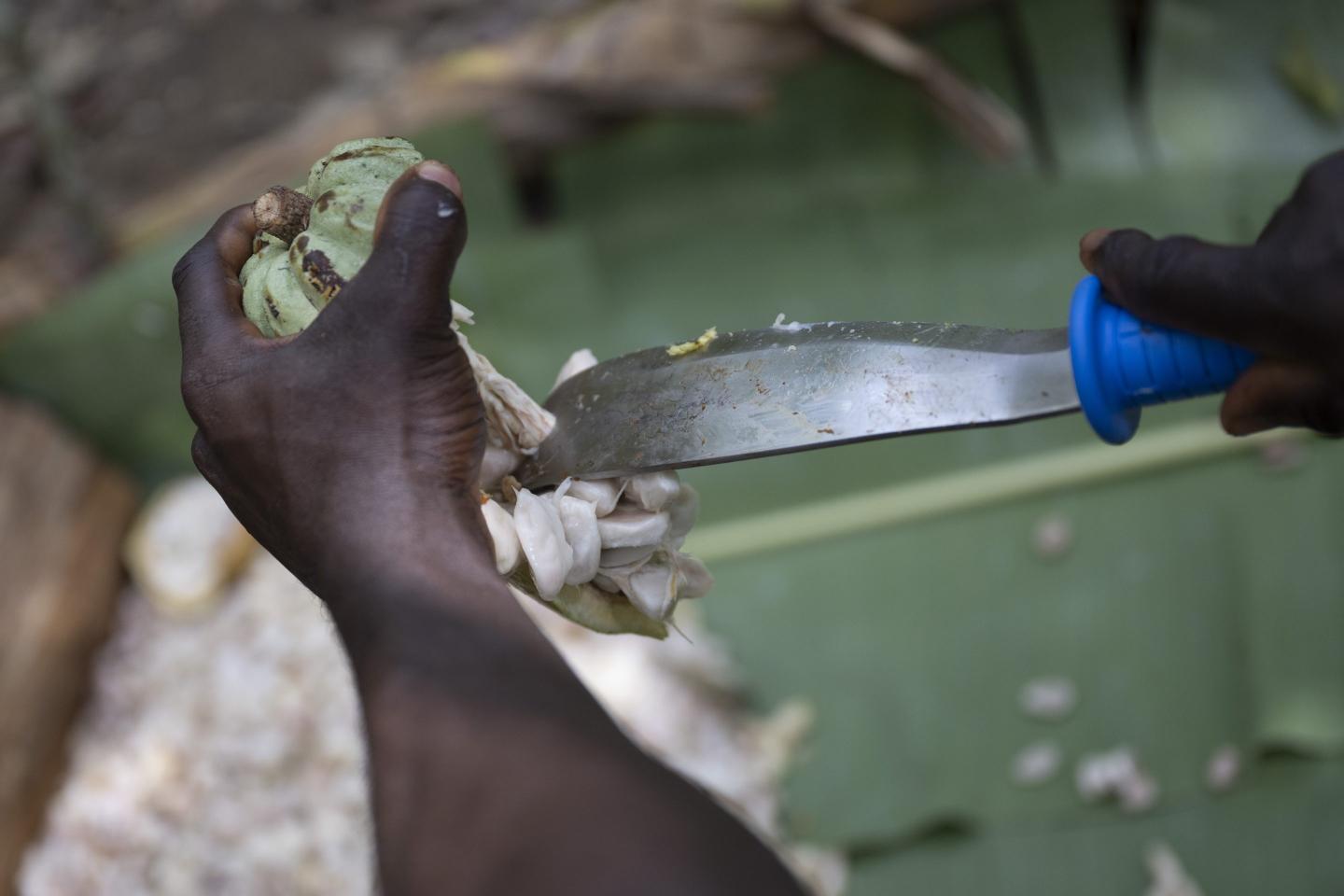 You’re going to pay more for your chocolate bars because of El Niño and climate change in Africa. Just look at what chocolate firms are saying