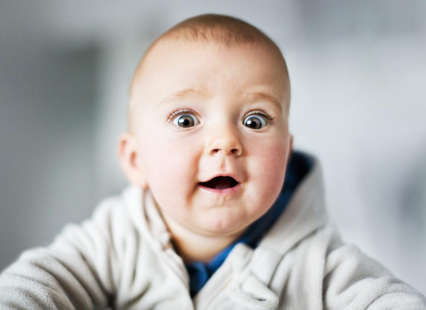 The $31 million ‘Soho House for kids’ collapsed after mounting debts and disturbing reports of babies crying themselves to sleep