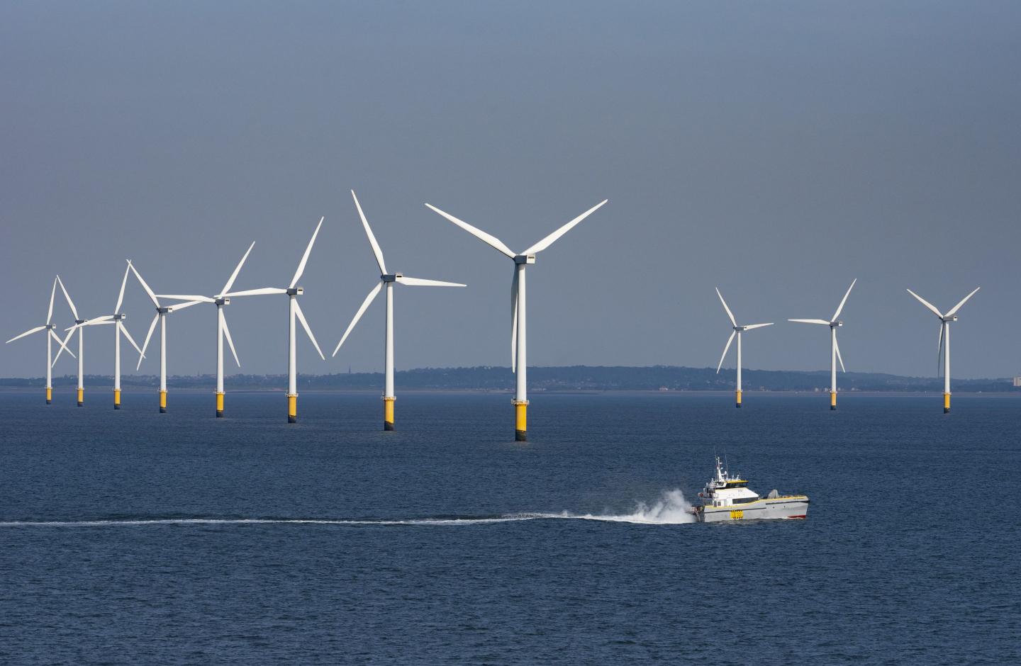 a number of wind turbines amid water