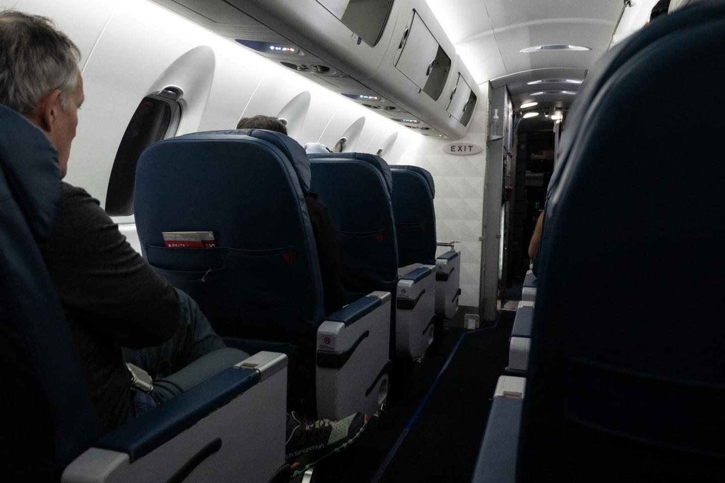 Maggots fell on passengers of Delta Flight 133. 