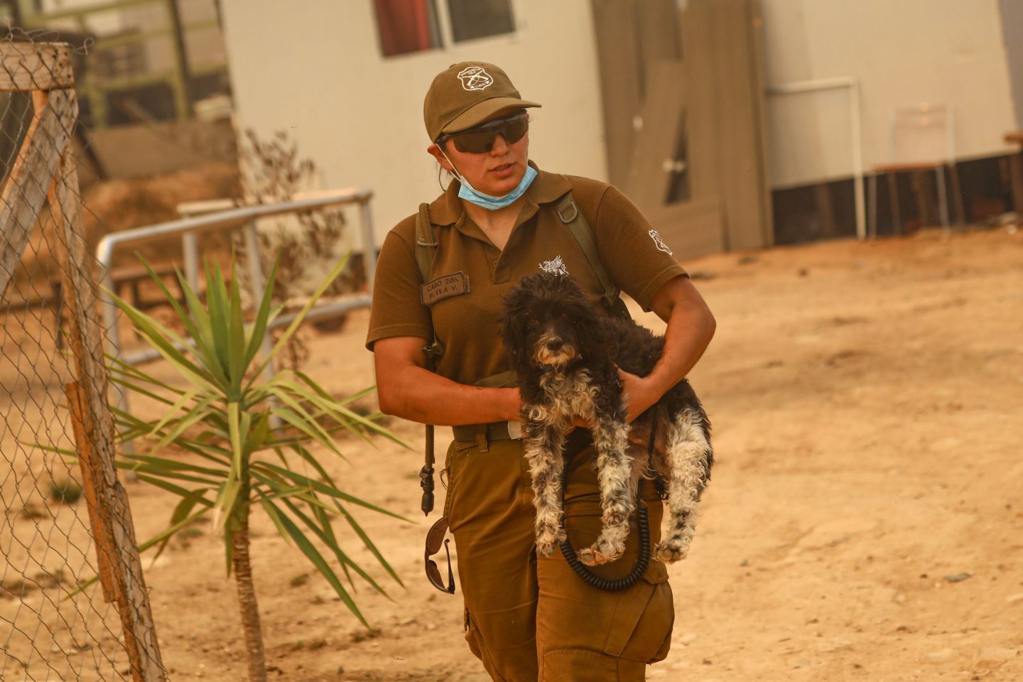 The deadly fires ravaging Chile were no accident, says a governor. 