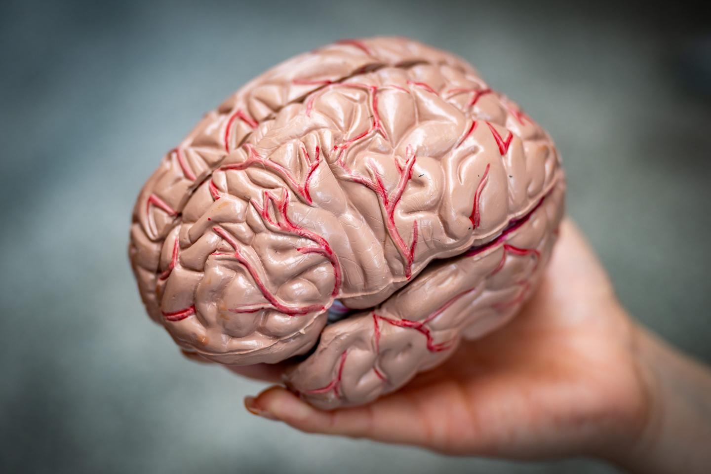 Silent brain changes precede Alzheimer’s. Researchers have new clues about which come first