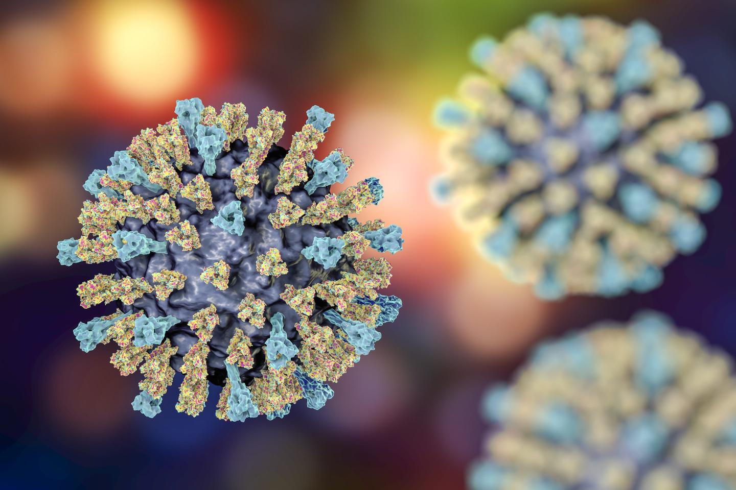 Florida defies CDC in measles outbreak, telling parents it’s fine to send unvaccinated kids to school