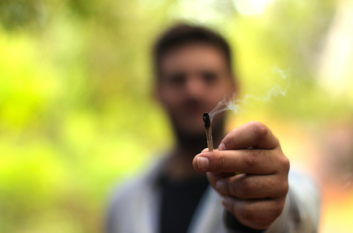 cannabis