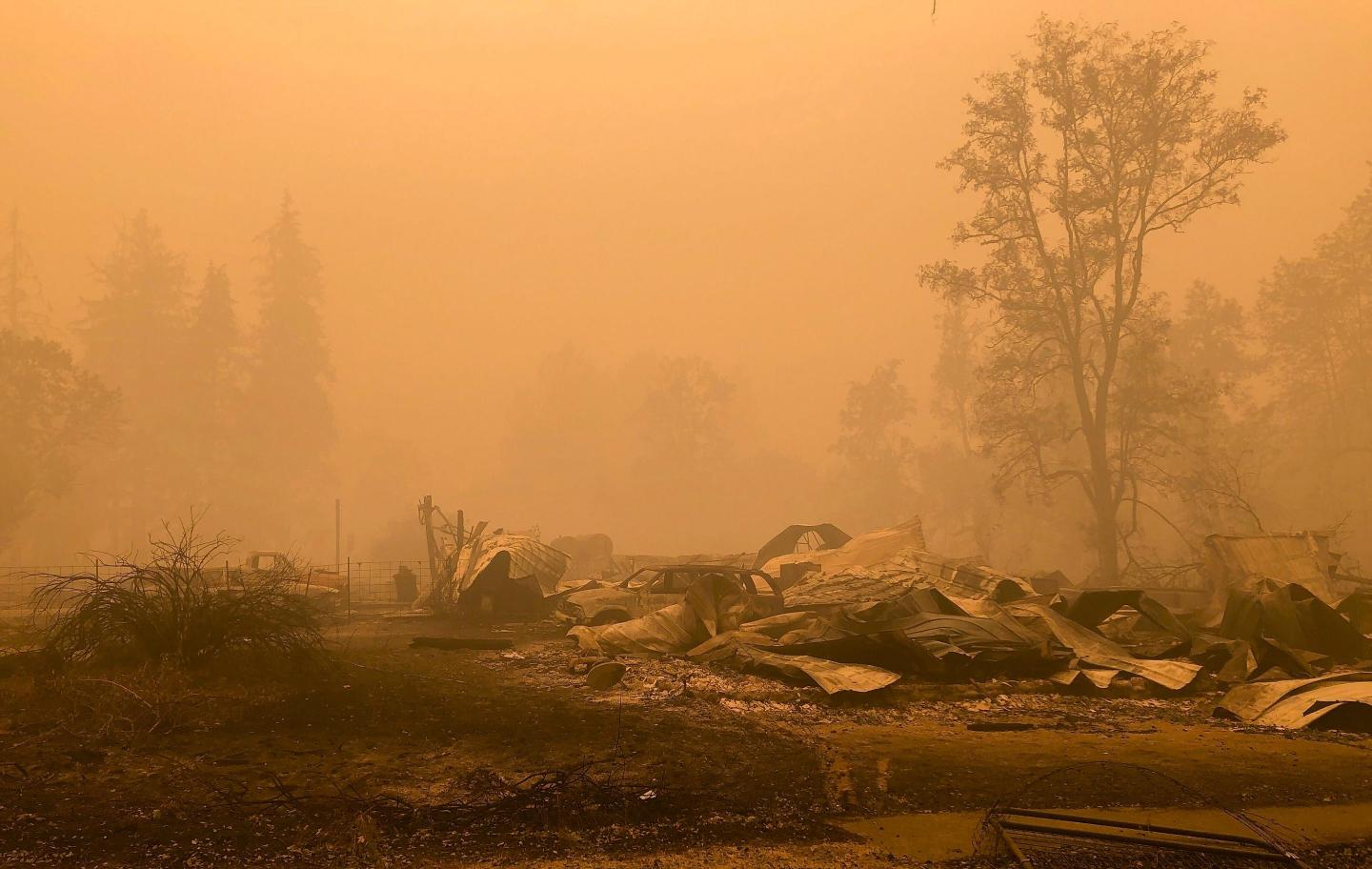 wildfire