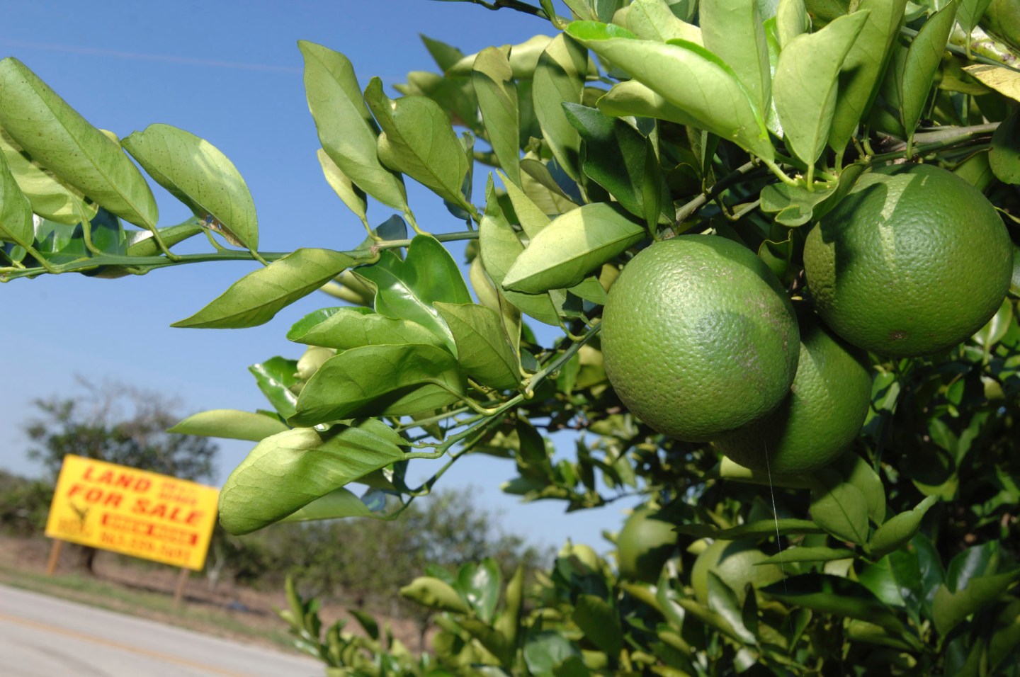 Polk County has come to have fewer orange groves along Interstate 4 and more subdivisions for local service workers as well as distribution warehouses for on-demand deliveries for residents in Orlando and Tampa.