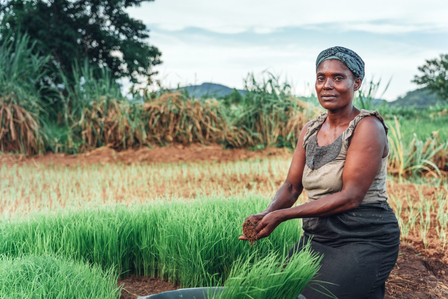 Black Female farmer