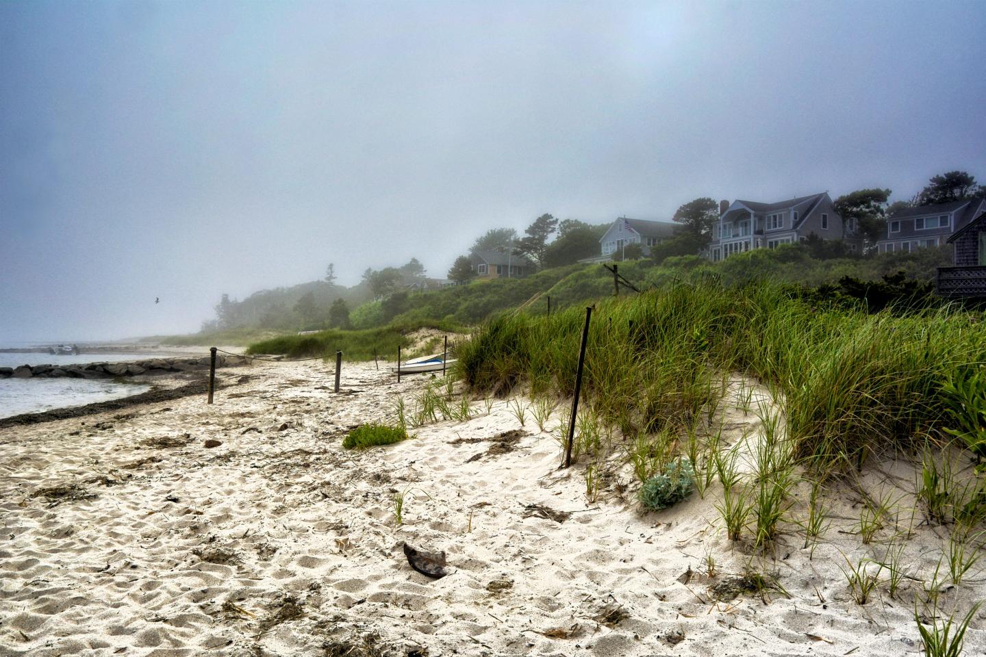 Shorline in Nantucket